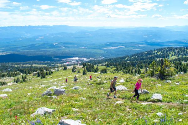 are dogs allowed hiking trails white mountains