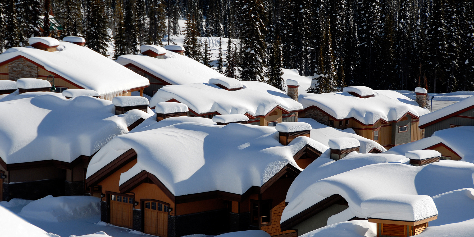 Vacation Homes Cabins Big White Ski Resort