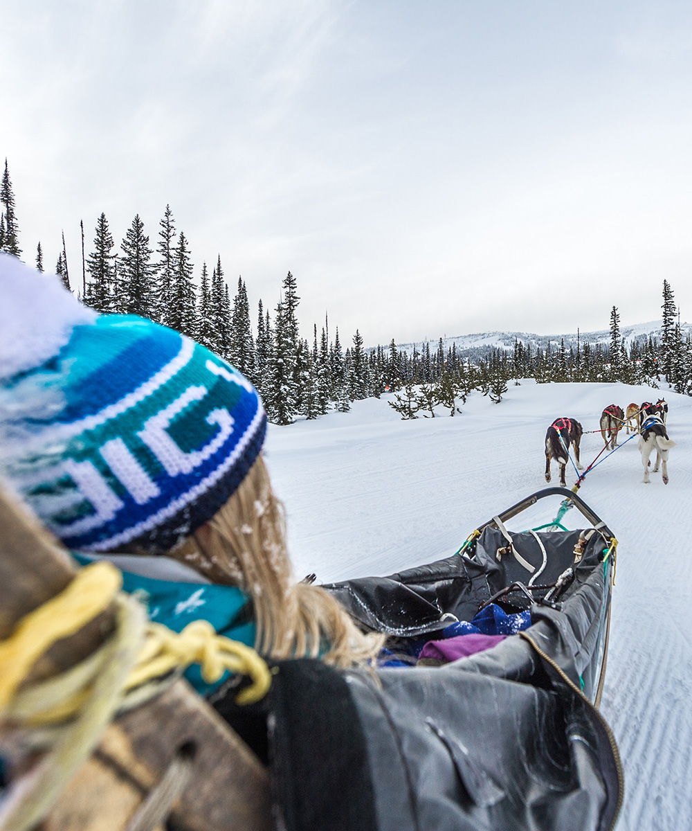 Dog Sled Tours | Big White Ski Resort Ltd.