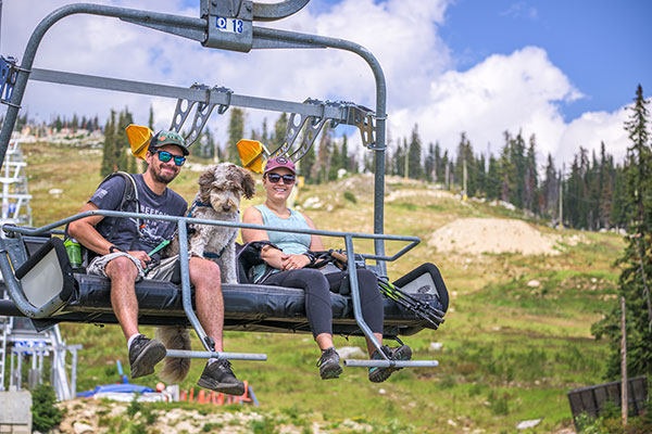 Dog friendly chairlift