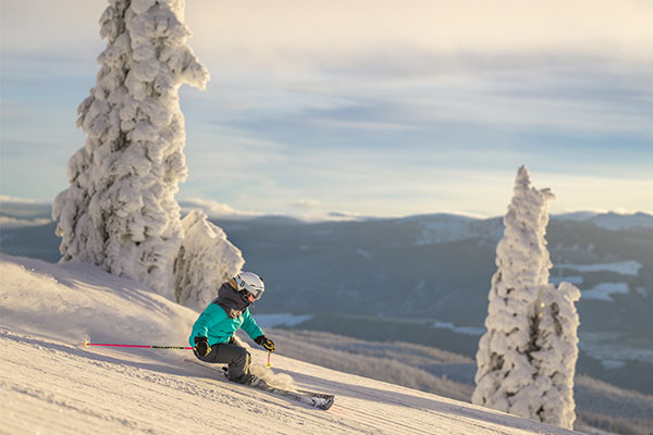 Winter Scenic Skier