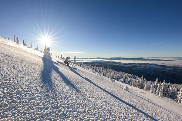 Skiing