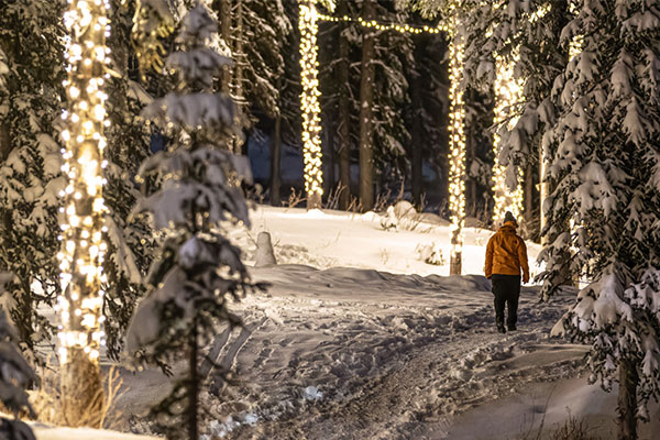 Twinkling Trail